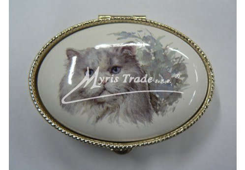 lékovka - velký ovál -kočka