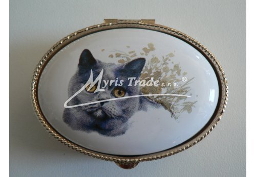 lékovka - velký ovál -kočka