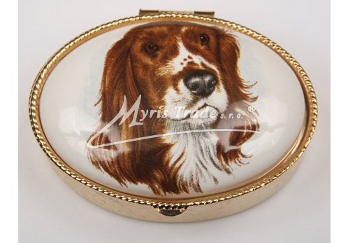 lékovka - velký ovál - pes