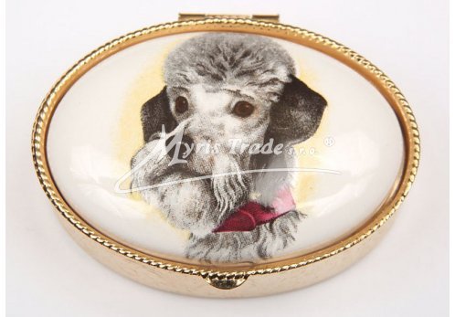 lékovka - velký ovál - pes