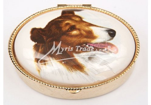 lékovka - velký ovál - pes