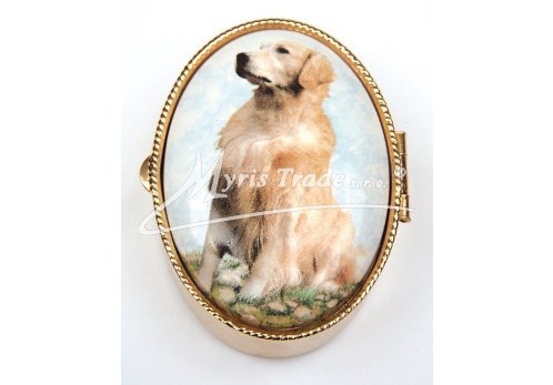 lékovka - velký ovál - pes