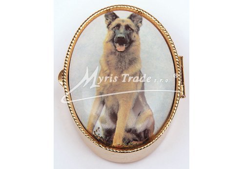 lékovka - velký ovál - pes