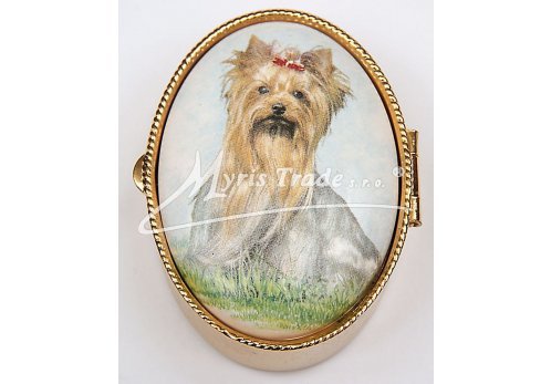 lékovka - velký ovál - pes