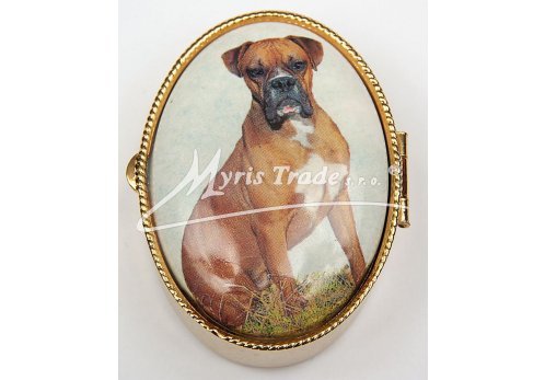 lékovka - velký ovál - pes