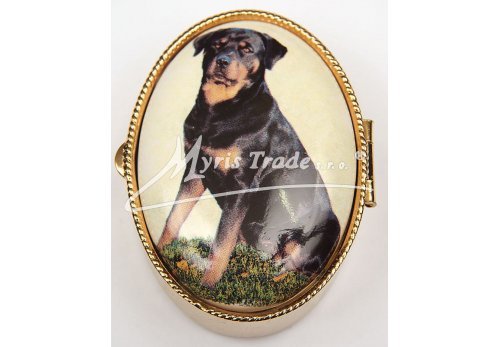 lékovka - velký ovál - pes