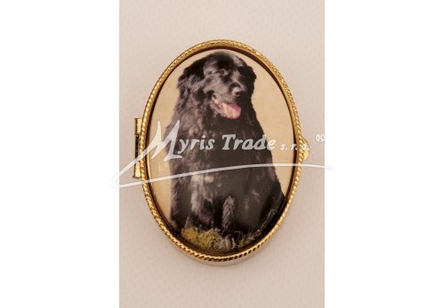 lékovka - velký ovál  - pes