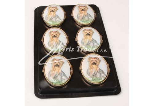 lékovka - velký ovál - pes