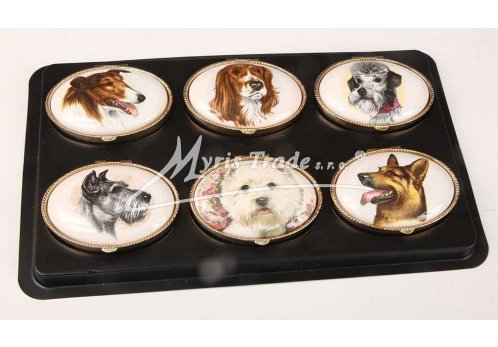 lékovka - velký ovál  - pes