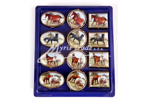 klasická 05 obdélníková lékovka - koně