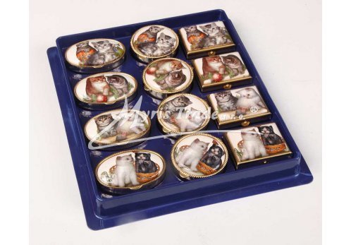 klasická 85 obdélníková lékovka - kočíčky