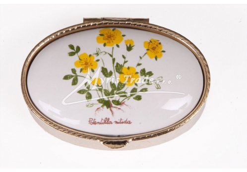 klasický ovál s květinami 38 - bylinky