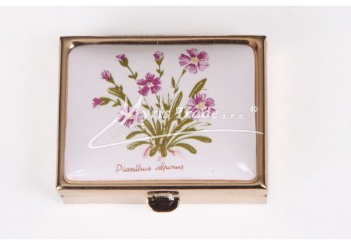 klasický obdélník s květinami 38 - bylinky