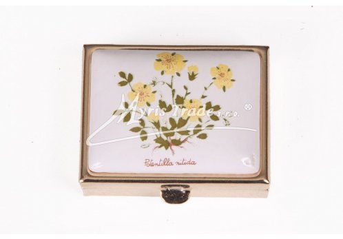 klasický obdélník s květinami 38 - bylinky