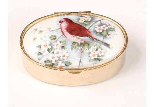 klasická oválná lékovka - ptáčci