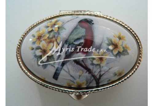 klasická oválná lékovka - ptáčci