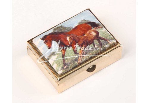 klasická 05 obdélníková lékovka - koně