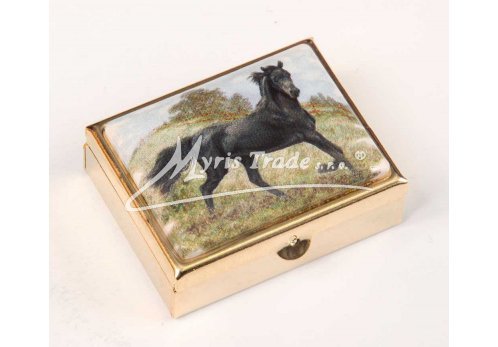 klasická 05 obdélníková lékovka - koně