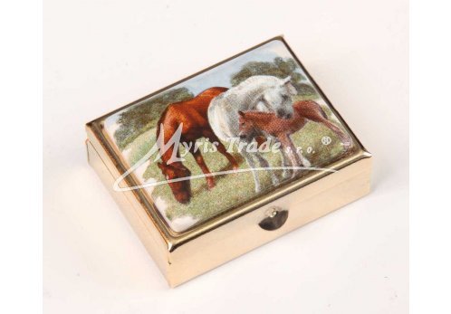 klasická 05 obdélníková lékovka - koně