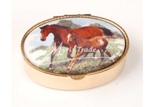 klasická 05 oválná lékovka - koně