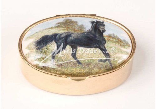 klasická 05 oválná lékovka - koně