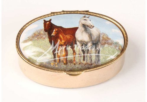 klasická 05 oválná lékovka - koně