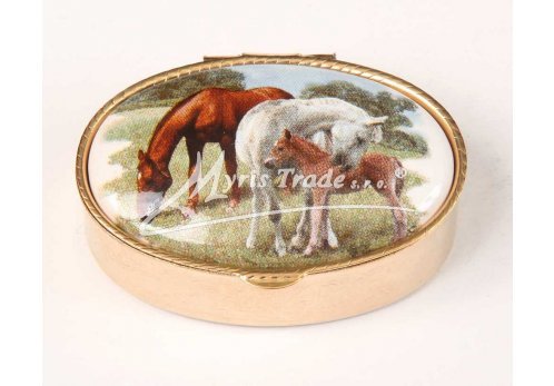 klasická 05 oválná lékovka - koně