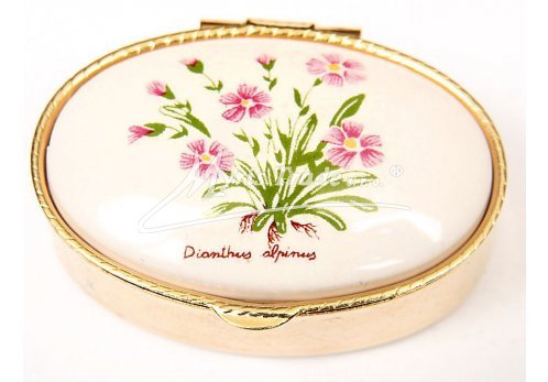 klasický ovál s květinami 38 - bylinky