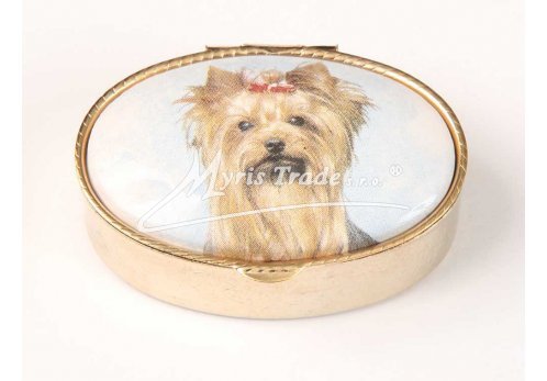 klasická oválná lékovka - yorkshir