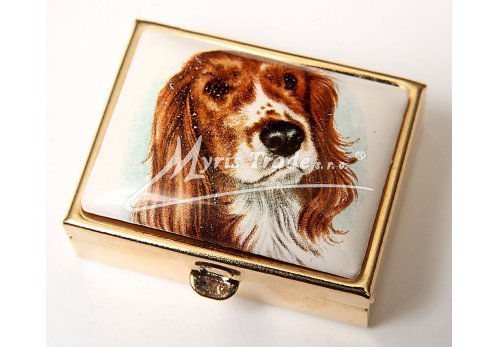 klasická obdélníková lékovka - pes