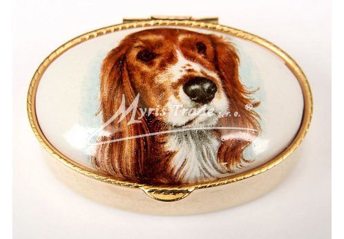 klasická oválná lékovka - pes