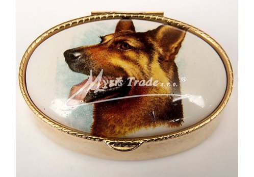 klasická oválná lékovka - pes