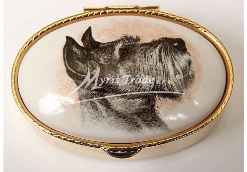 klasická oválná lékovka - pes