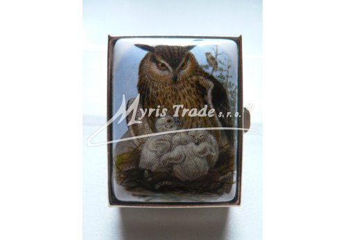 klasická obdélníková lékovka - sova