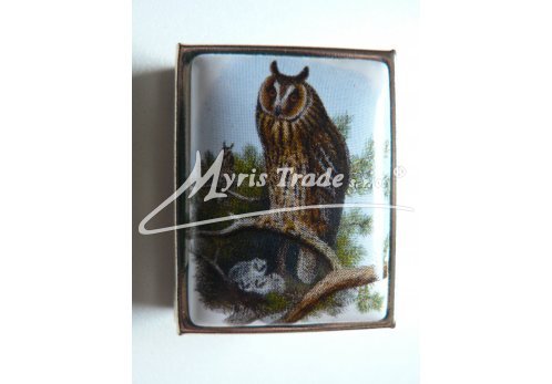 klasická obdélníková lékovka - sova