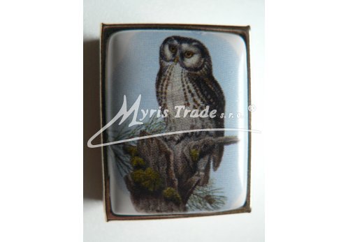 klasická obdélníková lékovka - sova