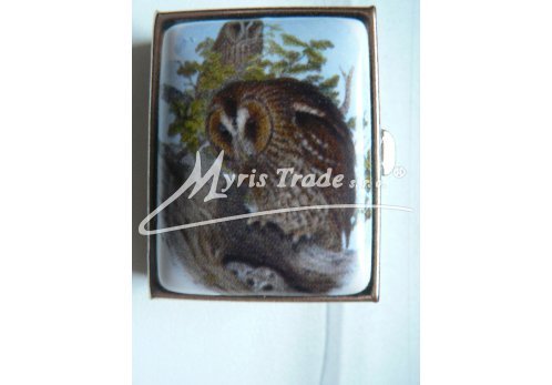 klasická obdélníková lékovka - sova