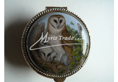 klasická kulatá lékovka - sova