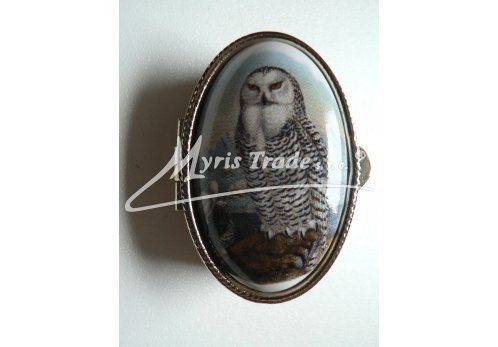 klasická oválná lékovka - sova