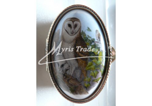 klasická oválná lékovka - sova