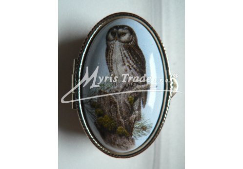 klasická oválná lékovka - sova