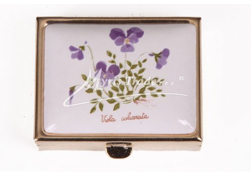 klasický obdélník s květinami 38 - bylinky