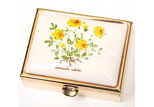 klasický obdélník s květinami 38 - bylinky