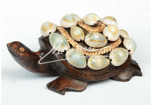 želva dřevěná s mušličkami