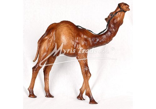 střední velbloud - 30 cm