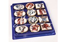 klasická lékovka - psi