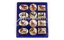 Klasická lékovka - koně